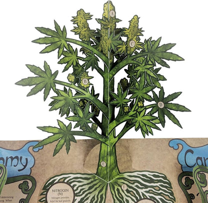 LIBRO DIMENSIONAL CANNABIS POP-UP