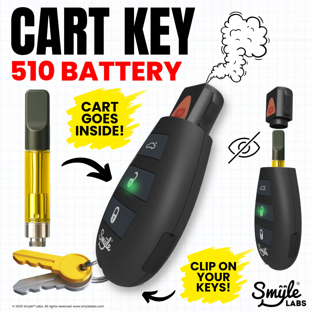 SMYLE LABS | KEY PENJAMIN BATERIA 510