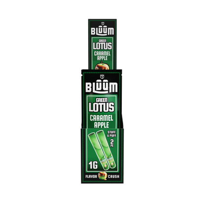 KING PALM | BLUUM CONES