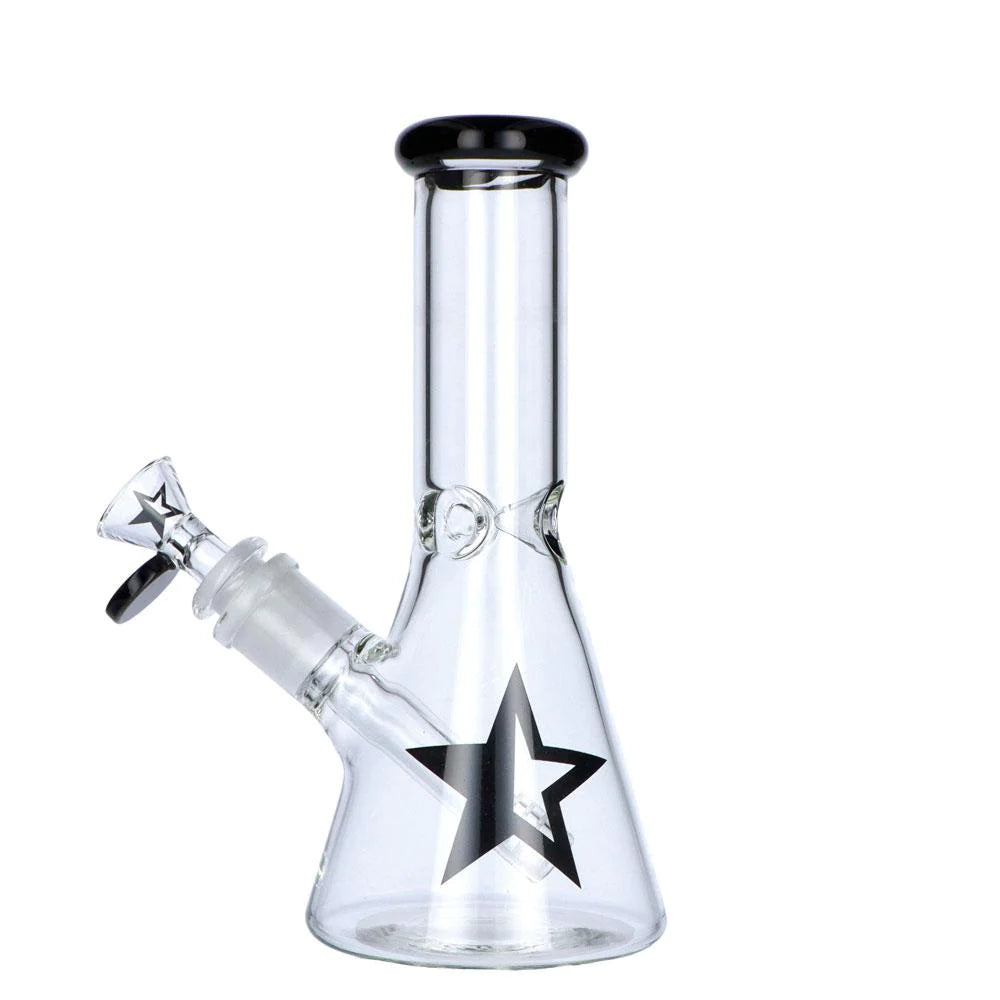 FAMOUS BRANDZ BONG 8"